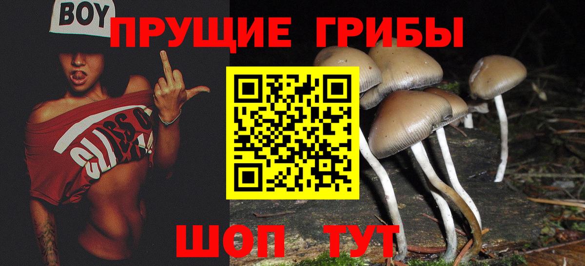 Уварово  Псилоцибиновые грибы MAGIC MUSHROOMS  Вход с VPN 
